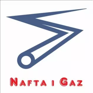 logo NiG 2009