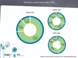 Struktura rynku LPG w Polsce