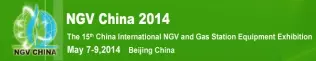 Logo NGV China 2014