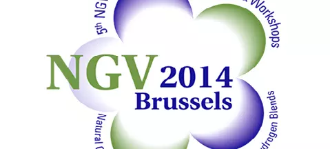NGV 2014 Brussels - awangarda zmian