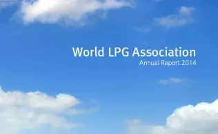 Raport WLPGA 2014