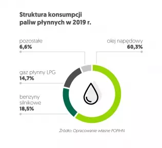 Struktura konsumpcji paliw płynnych w 2019 r.