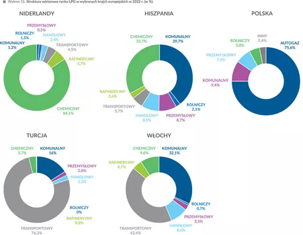 Struktura sektorowa rynku LPG w wybranych krajach europejskich w 2022 r. (w %)