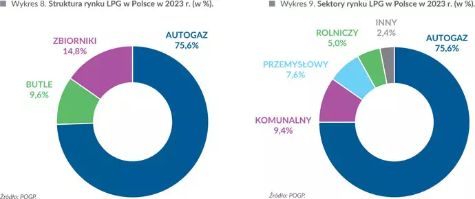 Struktura i sektory rynku LPG w Polsce w 2023 r. (w %)