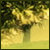 Varlinos