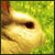 Irhamiel42