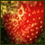 Vycyf