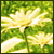 locks420ju
