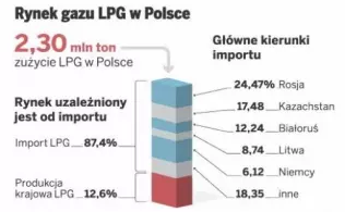 Struktura importowanego do Polski LPG 