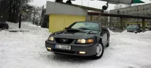 Ford Mustang GT od On Gas