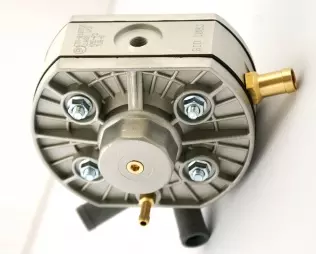 Mały, chudy, ale byk!