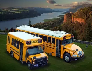 Autobusy szkolne firmy Blue Bird