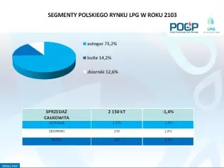 Segmenty polskiego rynku LPG w 2013 r.