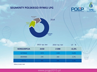 Segmenty polskiego rynku LPG w 2014 r.
