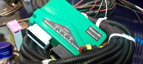 Diego DI - bez ogródek